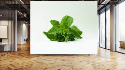 Fresh mint isolated on white Wall mural