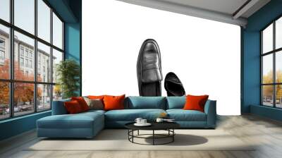 A pair of formal male shoes kept against a white background. Wall mural