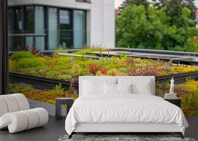 A rooftop garden is a great way to add greenery to your home and the environment. Wall mural