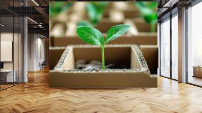 Eco concept with green leaves sprout growing in cardboard box from craft paper top view Plastic free zero waste sustainable lifestyle and renewable energy Wall mural