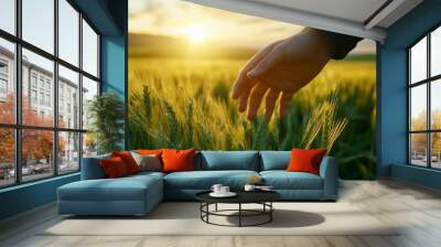 Human mans hand moving through green field of the grass. Male hand touching a young wheat in the wheat field while sunset. Boys hand touching wheat during sunset. Wall mural