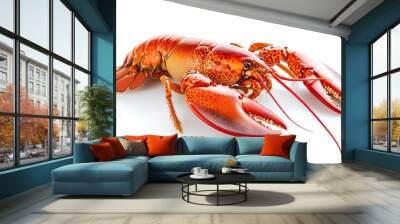 Red lobster isolated on white background full depth of field Wall mural