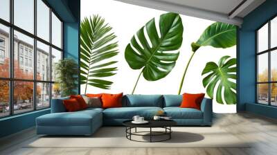 Set of Tropical leaves isolated on white background. Beautiful tropical exotic foliage Wall mural