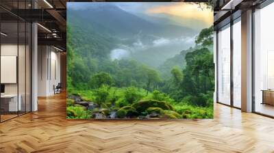 Subtropical forest in nepal Wall mural