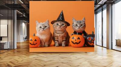 A cat with Halloween decorations, created with Generative AI technology. Wall mural