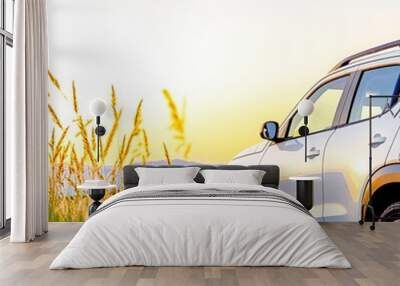 A serene evening drive along a winding road surrounded by lush grass and vibrant sunset hues Wall mural