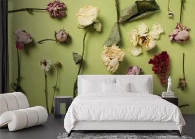 Composition of dried flowers on green background, top view Wall mural