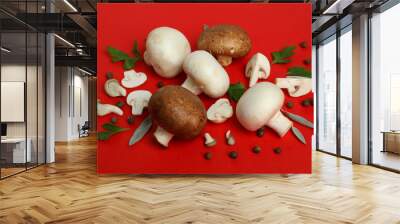 Concept of tasty food with champignon on red background Wall mural