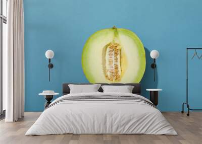 Juicy and tasty summer time fruit concept - melon Wall mural