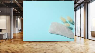 Lifting and toning treatment concept with gua sha on blue background Wall mural