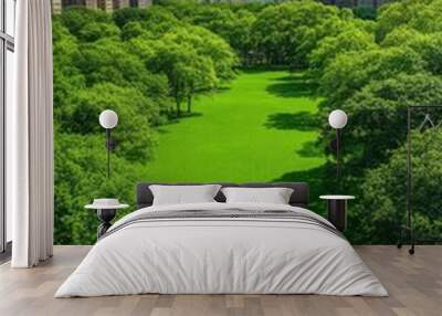 Lush green central park oasis surrounded by towering city skyscrapers on a bright day Wall mural