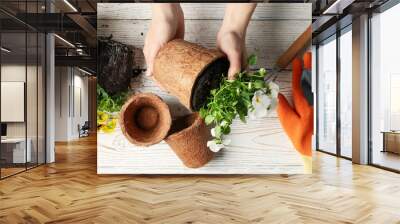 Woman hold pot on wooden background with garden tools, top view Wall mural