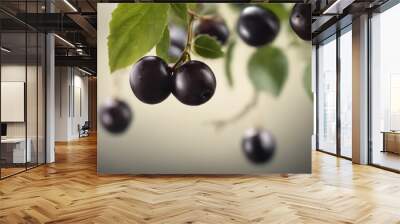 jaboticaba Wall mural