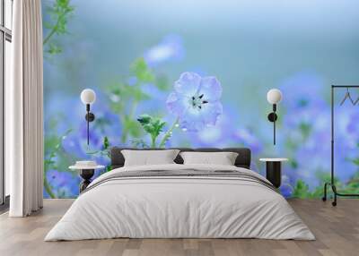 bule nemophila Wall mural