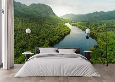 Aerial view of river in tropical green forest with mountains in background Wall mural