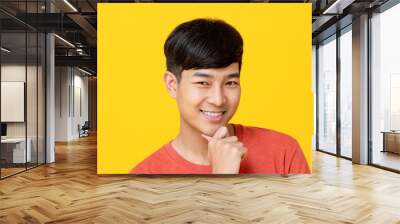 Handsome young Asian man smiling with hand on chin Wall mural