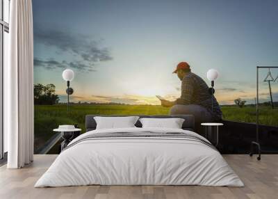 A male Asian farmer sits in the back of a pickup truck using information on tablet computer to plan his work for the harvest in the rice fields the evening sunset. Wall mural