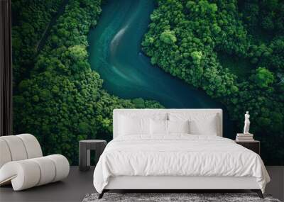 A stunning aerial view of a winding river cutting through a lush forest, showcasing natural beauty Wall mural