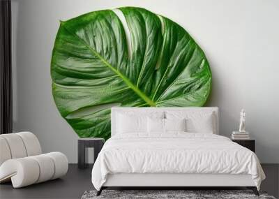 Big green leaf on a white background Wall mural