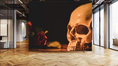 Banner background of human skull. The art photo of anatomy model human skull with rose and flowers for artwork concept. Wall mural