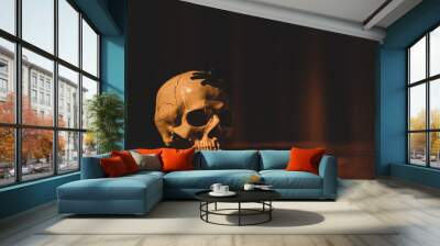 The imagination and inspiration of scary art and horror photography. The closeup idea concept of human skull with spider on head. Wall mural