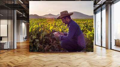 farmer in field Wall mural