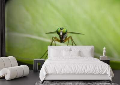 Long Legged Fly Wall mural