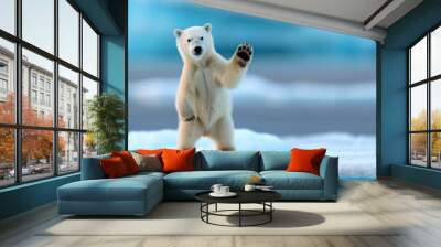 adorable polar bear cub waving hello on an ice floe in arctic waters. Wall mural