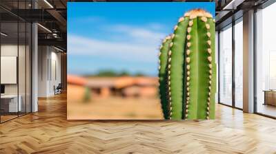 close-up of prickly green cactus plant in front of blurred desert landscape with rustic houses in background - sunny day, nature, wild west, arizona, usa Wall mural