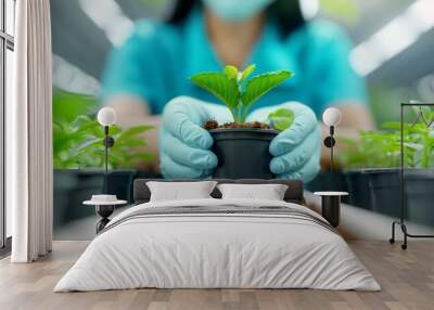 hands in blue gloves planting green plant seedling in a greenhouse. Wall mural