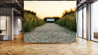 Pathway surrounded by flowers leading to a distant horizon at sunset. Wall mural