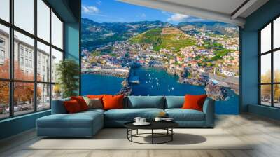 Aerial drone view of Camara de Lobos village panorama near to Funchal, Madeira. Small fisherman village with many small boats in a bay Wall mural