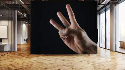 Male hand gesture number three closeup isolated on a black background Wall mural