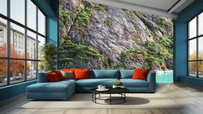 Mountain side in Alaska Wall mural