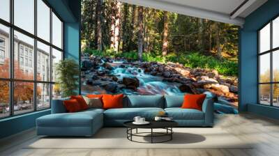 Flowing river in the mountains Wall mural