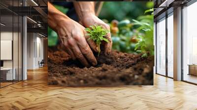 Person planting a seedling in a garden. Generative AI Wall mural