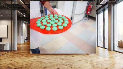 baker pastry chef making small 30 grams coloured buns for event finger food Wall mural