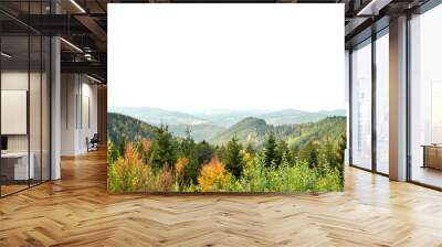 Autumn Aspen trees with foggy mountains in the background Wall mural