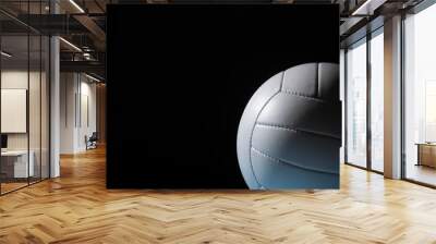 Closeup detail of volleyball ball texture background Wall mural