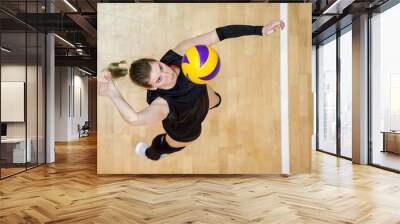 Upper View of Female Volleyball Player at Service Wall mural