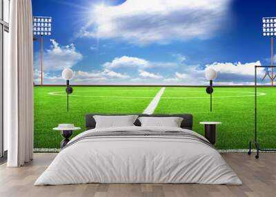 soccer stadium Wall mural