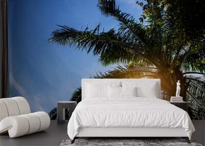 ropical palm trees on blue sky and sunlight background, Wall mural