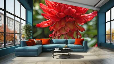 Vibrant Torch Ginger in Bloom Wall mural