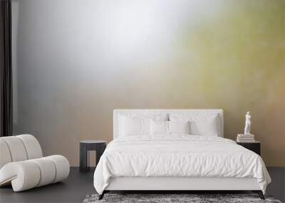 Blurred frosted glass texture background Wall mural