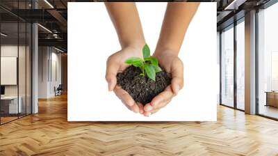 Hand holding young green plant on soil isolated on white. The concept of ecology, environmental protection. Wall mural