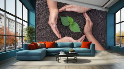 Hands was gently encircled.Seedlings are growing from abundant soil. Wall mural