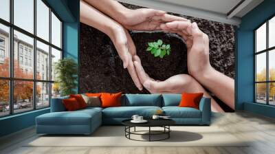 Human hands are planting seedlings into the soil. children hands was gently encircled. Wall mural