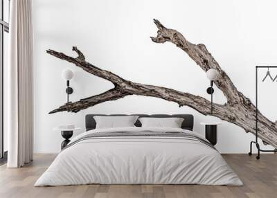 tree death or branch die on white background Wall mural