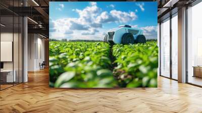 An autonomous farm robot is navigating through a field of crops under a blue sky with scattered clouds, illustrating modern agricultural technology in use. Wall mural