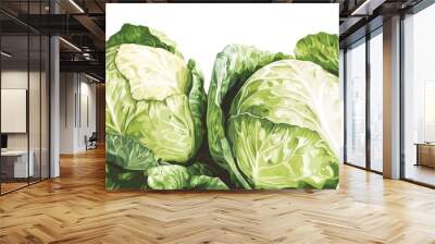 Two fresh, green cabbages with crisp leaves, possibly illustrating healthy vegetables or ingredients for a nutritious meal, depicted against a clean white background. Wall mural